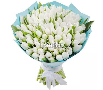 101 white tulips