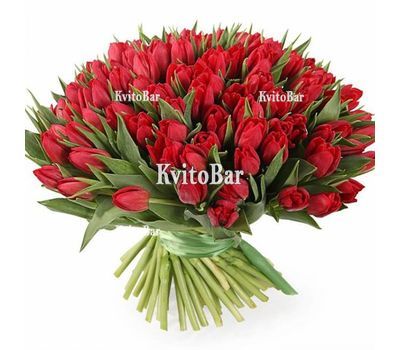 101 червоний тюльпан