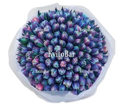 101 піоноподібний космічний тюльпан