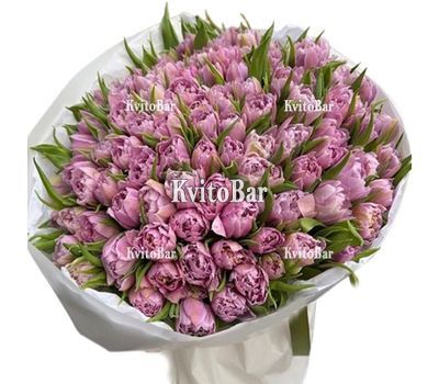 101 піоноподібний тюльпан