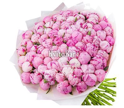 101 рожева півонія