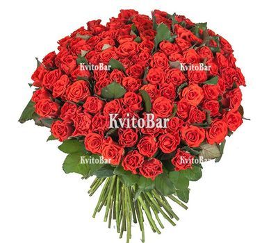 101 троянда Ель Торо