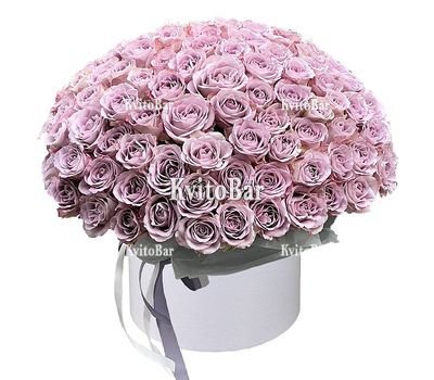 101 троянда Мемори Лейн