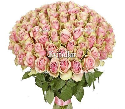 101 roses Pink Athena