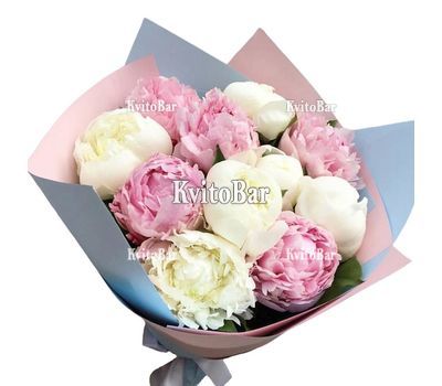 11 білих та рожевих півоній