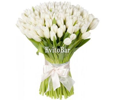 111 білих тюльпанів