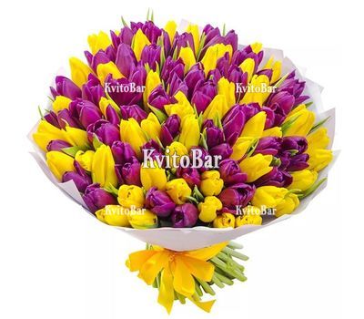 111 фіолетових та жовтих тюльпанів