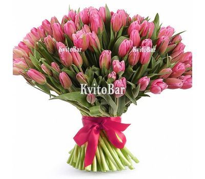 111 рожевих тюльпанів