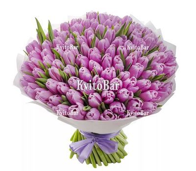 111 тюльпанів