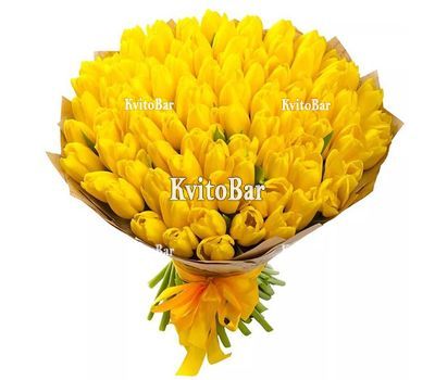 111 жовтих тюльпанів
