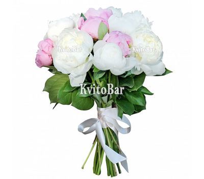 15 білих та рожевих півоній