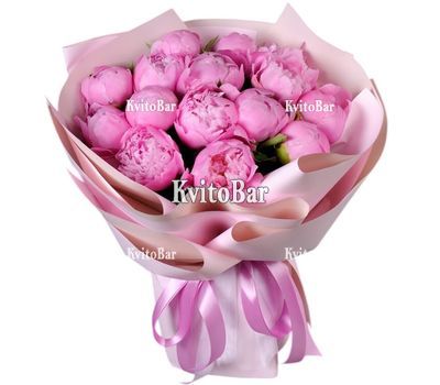 15 рожевих піоній