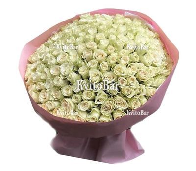 151 біла троянда