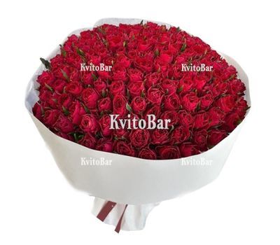 151 червона троянда 50 см