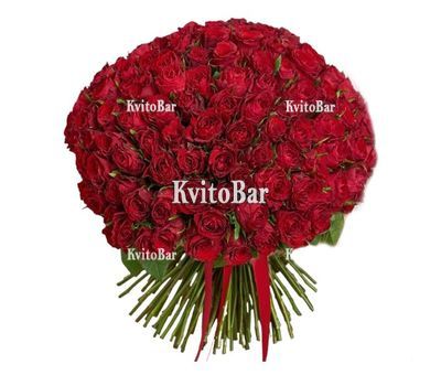 151 червона троянда