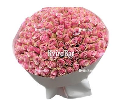 151 pink roses