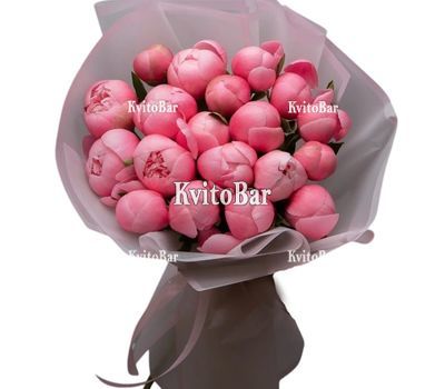 19 кораллових півоній