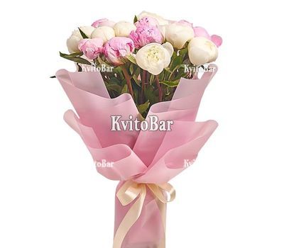 19 різнокольорових півоній