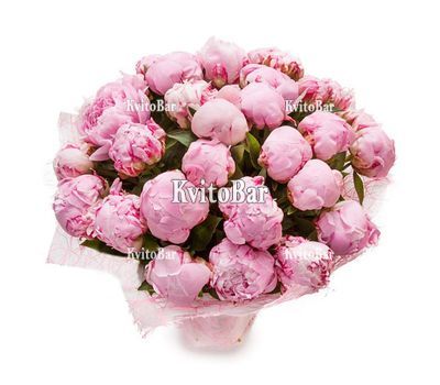 21 рожева півонія