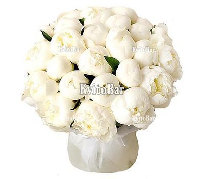 25 білих півоній