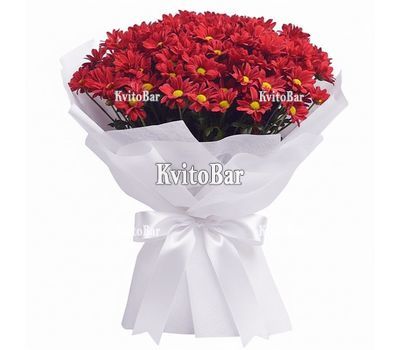 Букет из красных хризантем