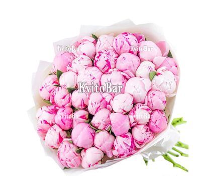 25 рожевих півоній