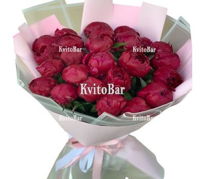 27 бордових півоній