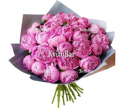 29 рожевих українських півоній