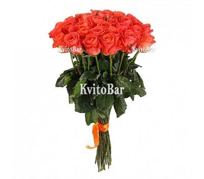 31 чудова помаранчева троянда