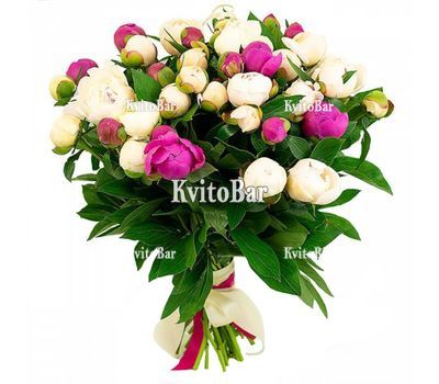 35 різнокольорових півоній