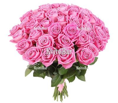 41 рожева троянда