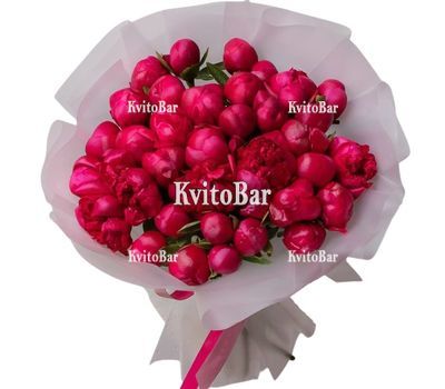 45 бордових півоній