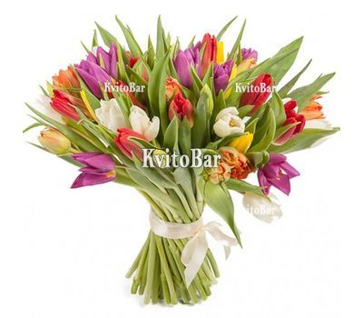 45 різнокольорових тюльпанів