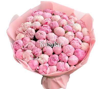 45 рожевих півоній