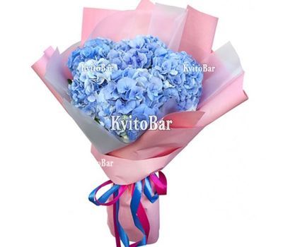 5 блакитних гортензій