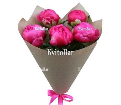 5 рожевих півоній