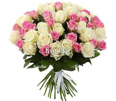51 біла і рожева троянда
