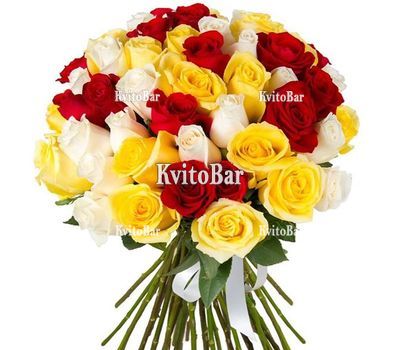 51 multicolored roses