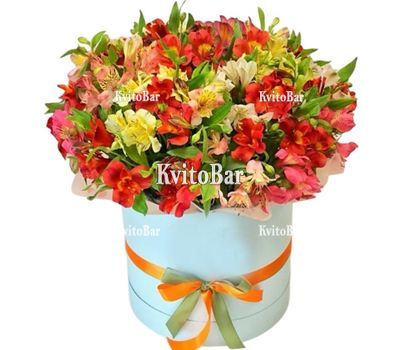 55 альстромерій мікс в коробці