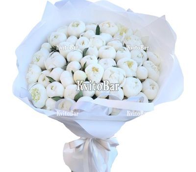 55 білих півоній