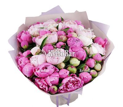 55 різнокольорових півоній