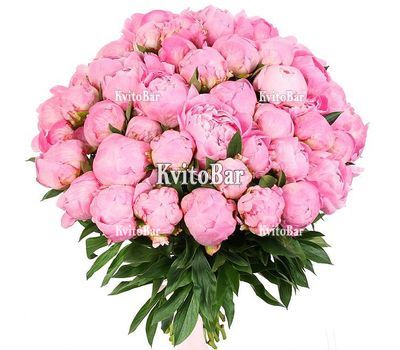 55 рожевих півоній