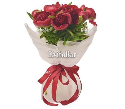 7 бордових півоній