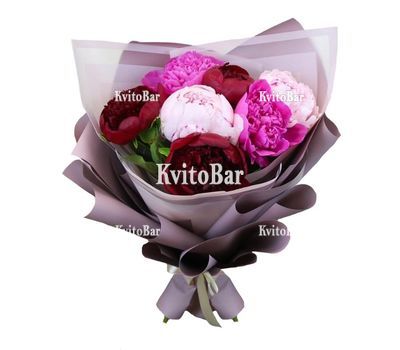 7 різнокольорових півоній