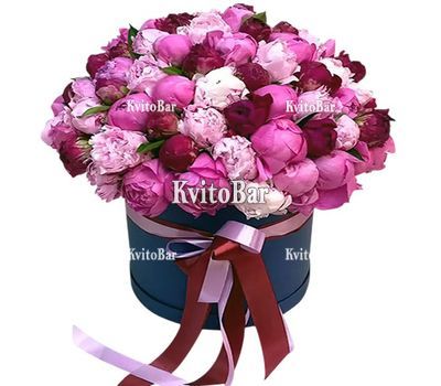 71 пион в коробке