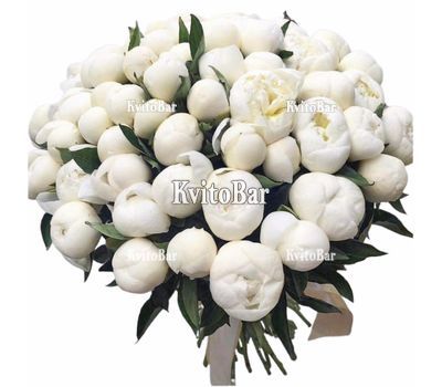75 білих півоній