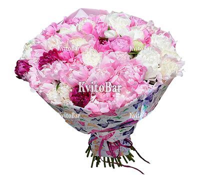 75 різнокольорових півоній