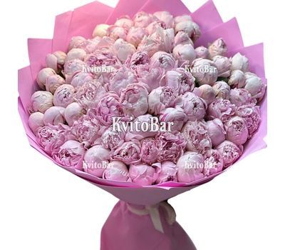 75 рожевих півоній