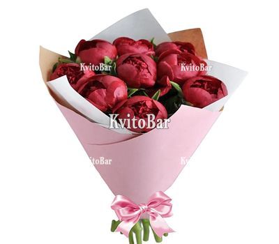 9 бордових півоній