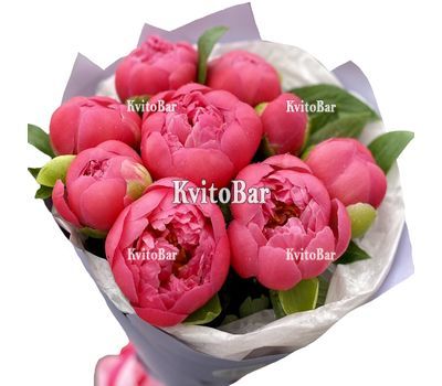 9 яскраво рожевих піоній